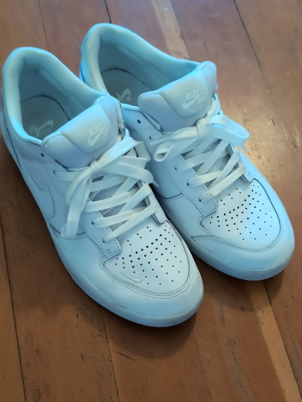 Nike SB White Men's Sneakers